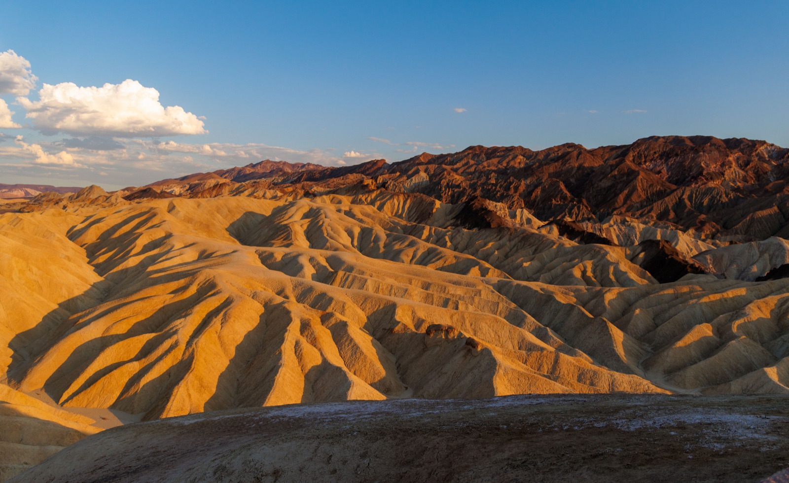 Golden badlands at Zabriskie Point in Death Valley National Park in low evening light, with dark mountains behind
