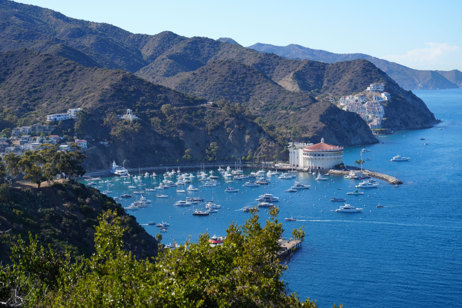 Avalon Bay on Catalina Island seen from the hills, with moored boats and the round Casino building