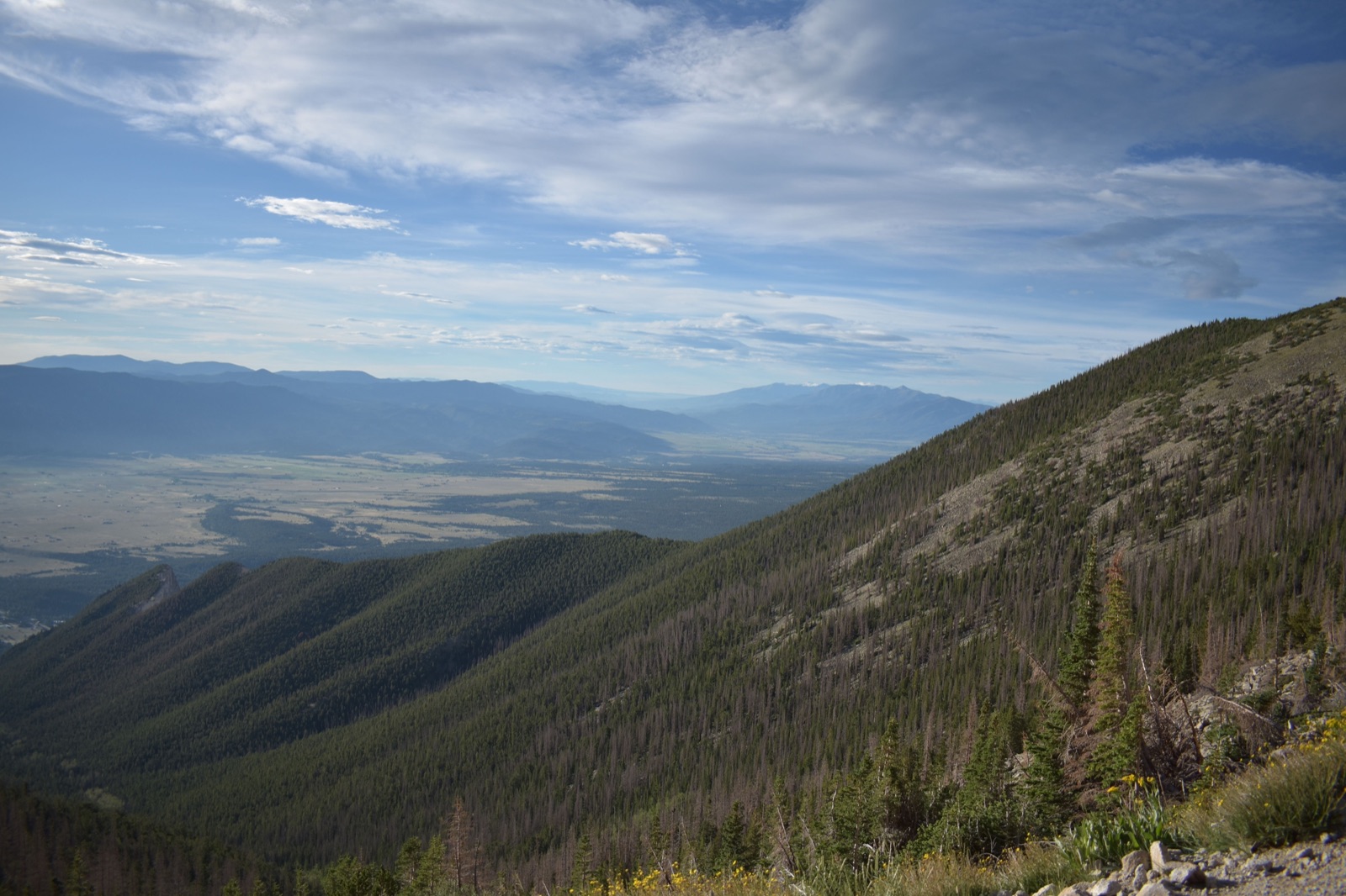 Forested mountainsides above a wide valley near Buena Vista, Colorado