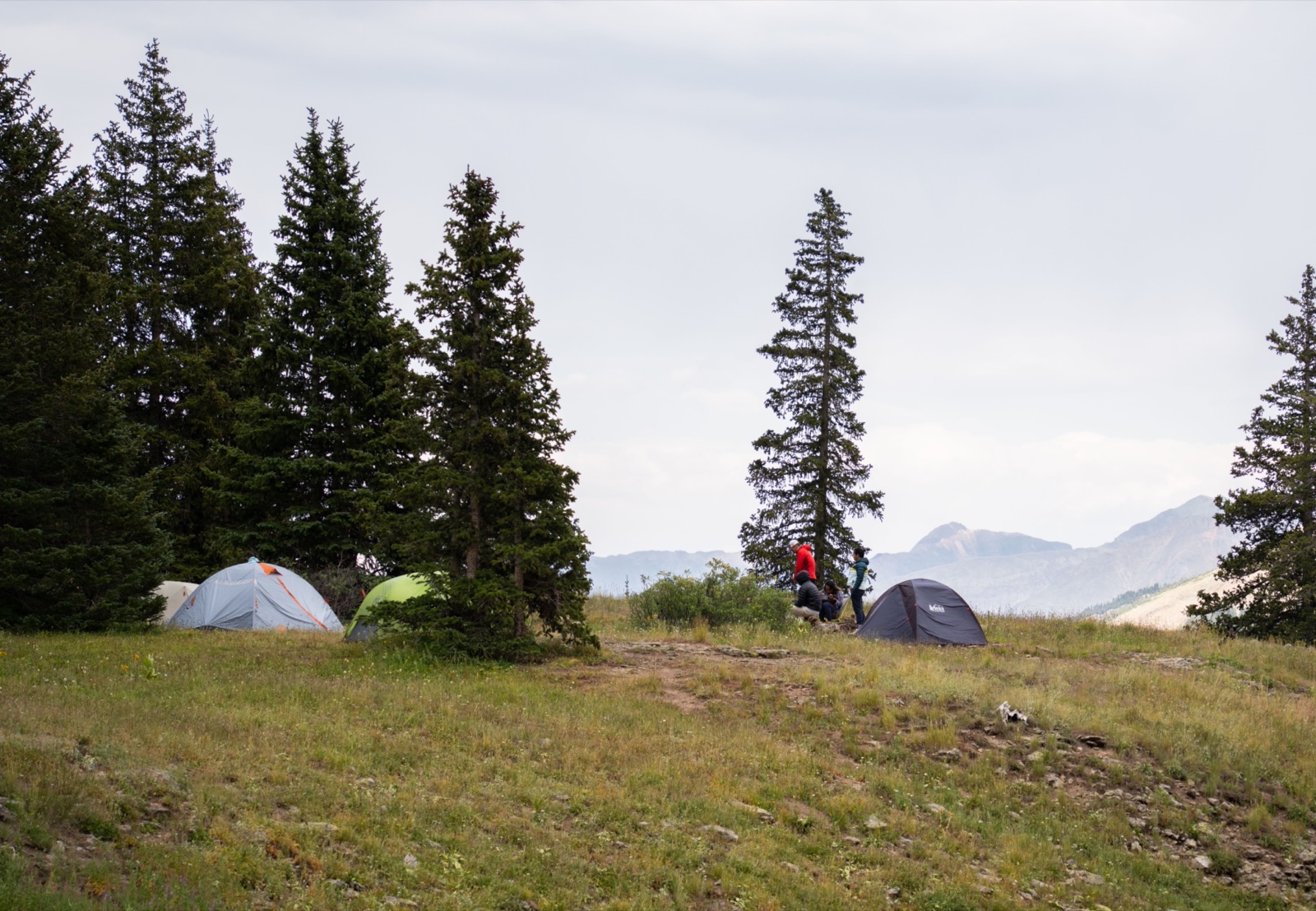 Three dome tents on a grassy slope among spruce trees, with mountains in the distance