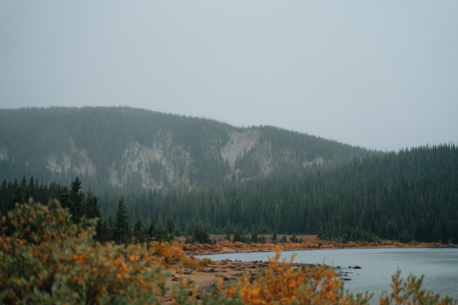A mountain lake edged with autumn shrubs and dense conifer forest under a grey sky in Colorado